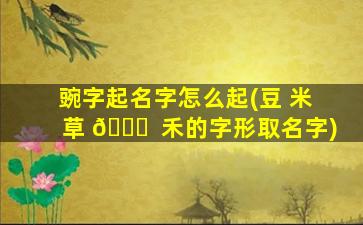 豌字起名字怎么起(豆 米 草 🐅  禾的字形取名字)